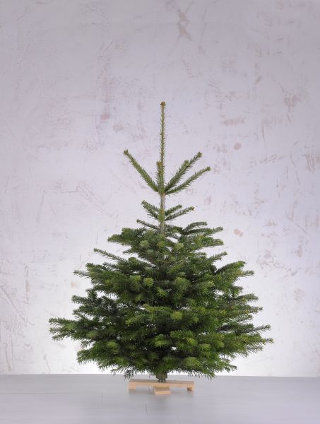 WeihnachtsbaumS120-140cm__1_b7911d1b4e8cc2d8f1db24836d6ad7fc.jpg