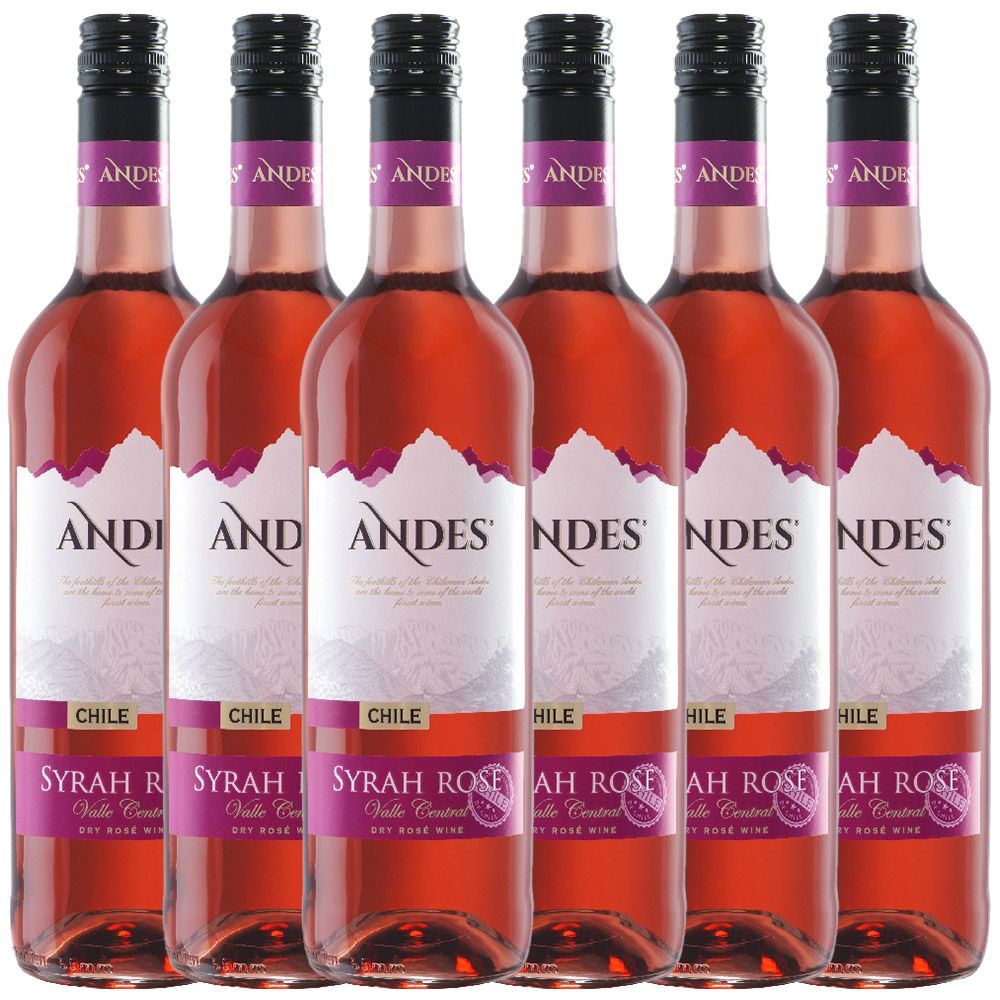 Andes Syrah Rosé trocken 2020 0,75l 6er Karton Andes Norma24 DE