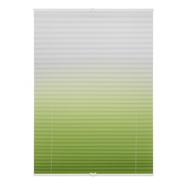 Lichtblick Plissee Klemmfix, ohne Bohren, verspannt, Farbverlauf - Grün Weiß, 120 cm x 130 cm (B x L)