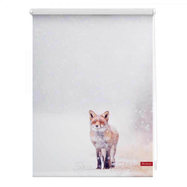Lichtblick Rollo Klemmfix, ohne Bohren, blickdicht, Fuchs im Schnee - Weiß Rot, 100 cm x 150 cm (B x L)