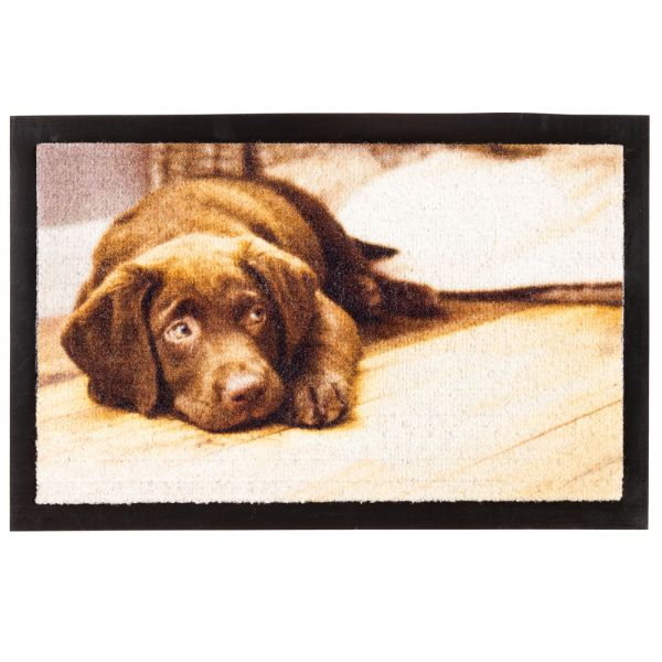 Lifetex Digitaldruck-Schmutzfangmatte, ca. 40 x 60 cm - Hund