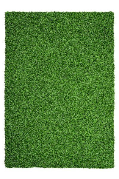 Kayoom Grass 110 Grün 160cm x 160cm