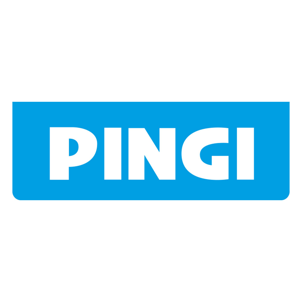 Pingi ASB-1000 wiederverwendbarer Car-Entfeuchter MEGA 1000gr