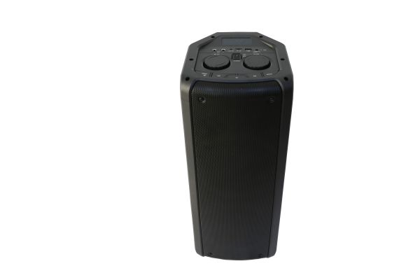 Reflexion PS09BT Bluetooth Lautsprecher mit Radio, USB, AUX-IN und Akku