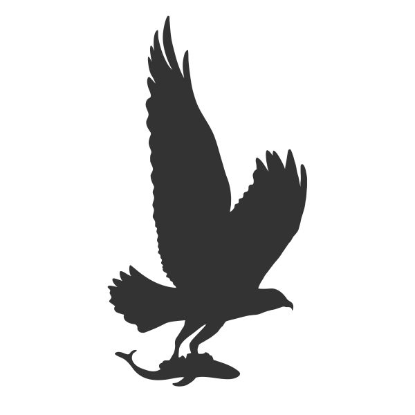 Keilbach Vogelschutz, 40 x 75 cm, Hochleistungsfolie, anthrazit-metallic