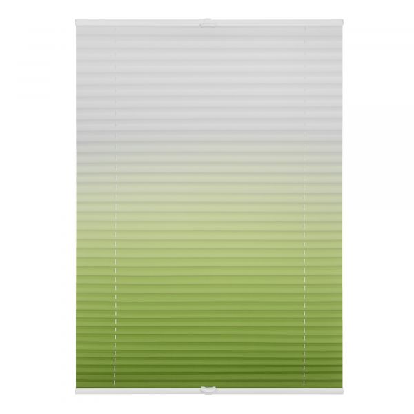 Lichtblick Plissee Klemmfix, ohne Bohren, verspannt, Farbverlauf - Grün Weiß, 70 cm x 130 cm (B x L)
