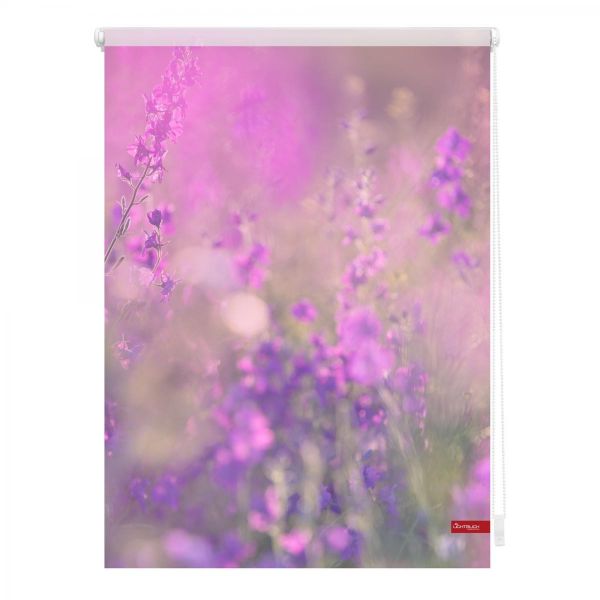 Lichtblick Rollo Klemmfix, ohne Bohren, blickdicht, Blumenwiese - Fuchsia Violett, 100 x 150 cm (B x L)