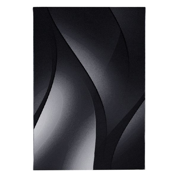Ayyildiz Teppich, PLUS 8010, BLACK, 140 x 200 cm