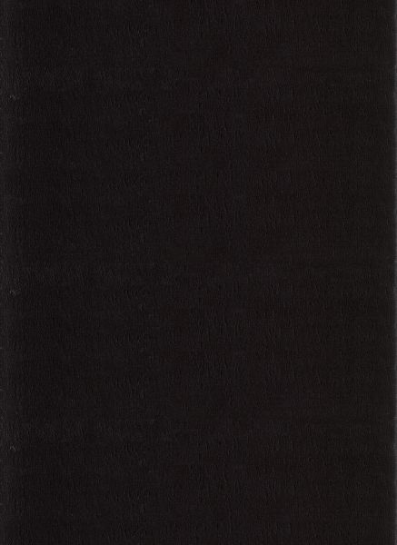 Ayyildiz Teppich, CATWALK 2600, BLACK, 140 x 200 cm