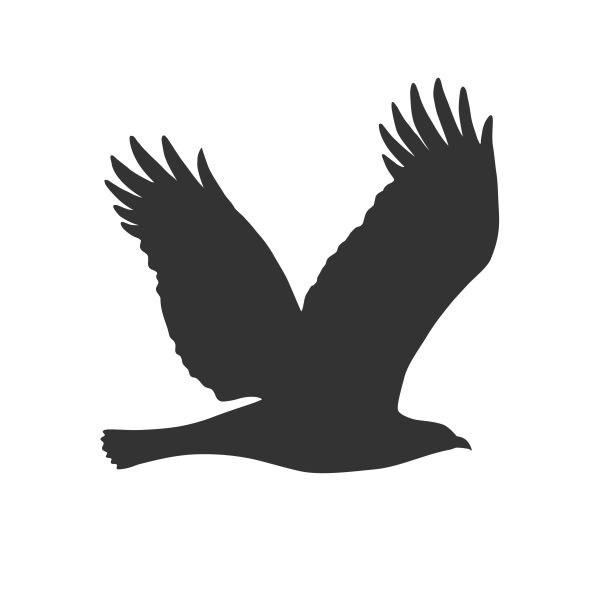 Keilbach Vogelschutz, 46 x 45 cm, Hochleistungsfolie, anthrazit-metallic