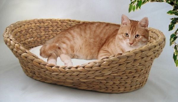 Cat Bonbon Bett aus Wasserhyazinthe, klein