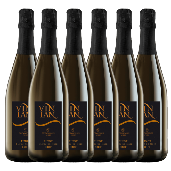 OOS Bottwartaler Vinian Pinot Blanc De Noir Sekt Brut 0,75 Ltr. 6er Karton