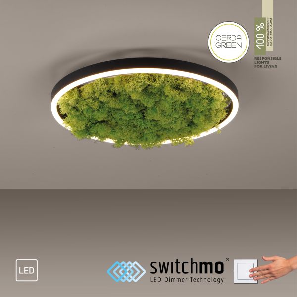 JUST LIGHT. LED Deckenleuchte GREEN RITUS, 3-Stufen-Dimmer, echtes Moos, Ø39,3cm
