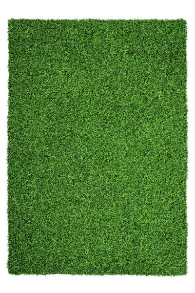 Kayoom Grass 110 Grün 120cm x 170cm