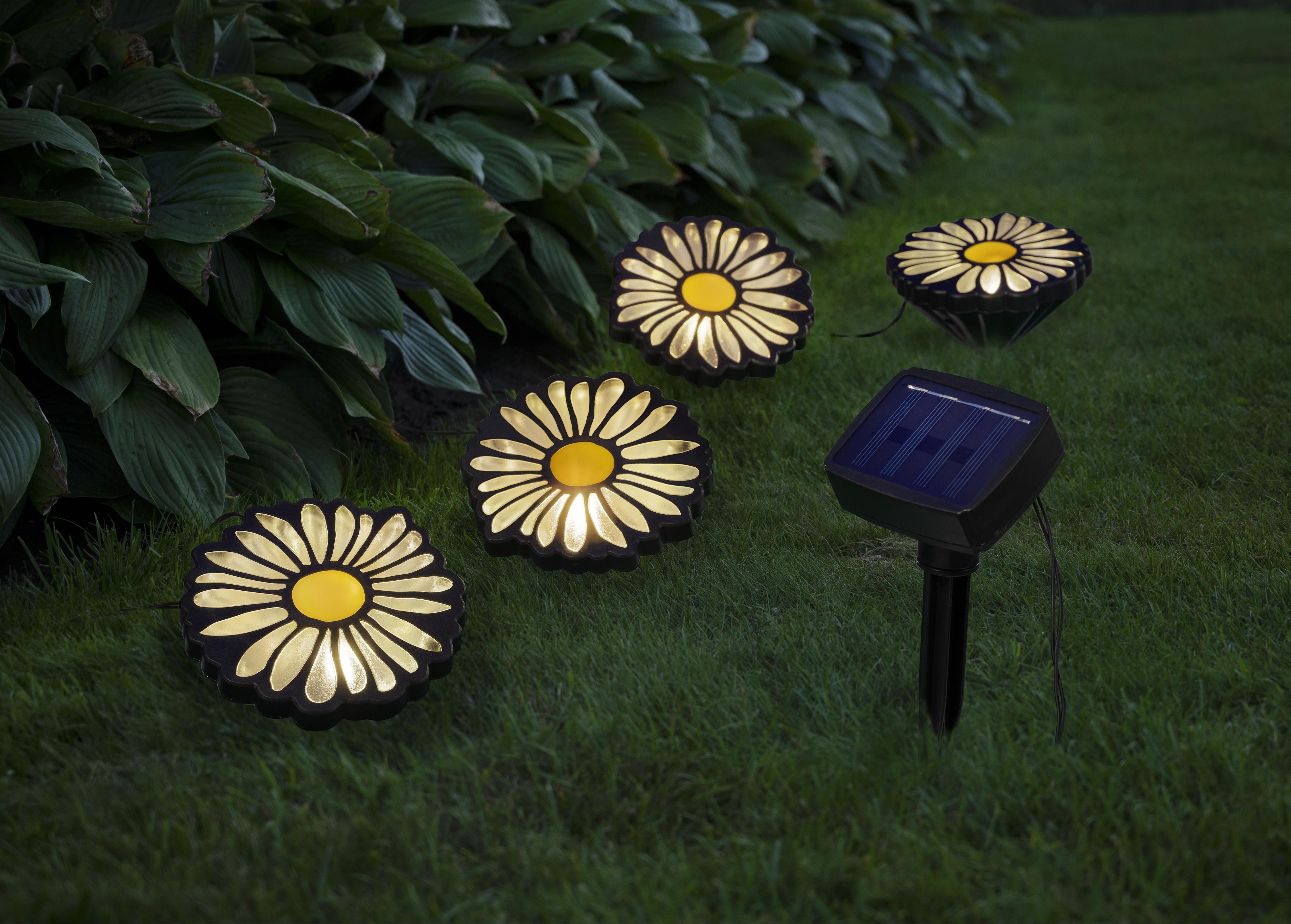 IC Gardenworld LED-Solar-Blumen, Warmweiß - 4er-Set