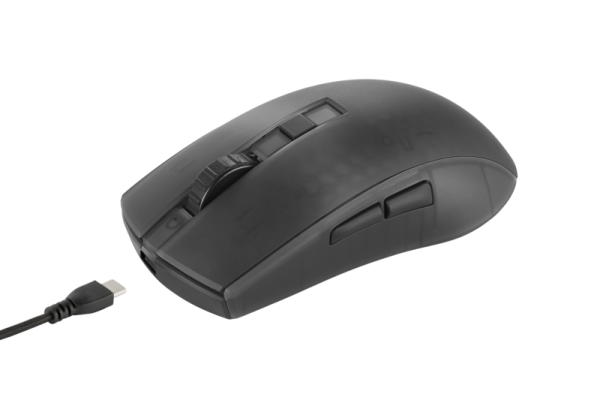 DELTACO RGB Gaming Maus, semi-transparent, kabellos, schwarz