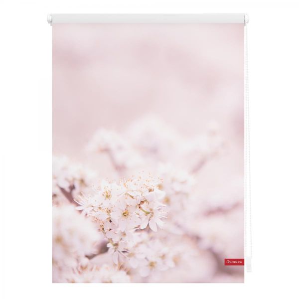 Lichtblick Rollo Klemmfix, ohne Bohren, blickdicht, Kirschblüten - Rosa Weiß, 80 cm x 150 cm (B x L)