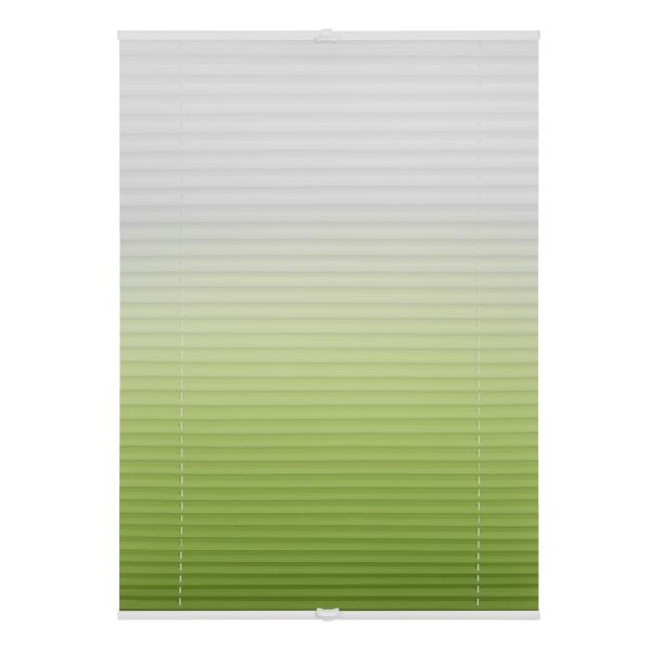 Lichtblick Plissee Klemmfix, ohne Bohren, verspannt, Farbverlauf - Grün Weiß, 90 cm x 130 cm (B x L)