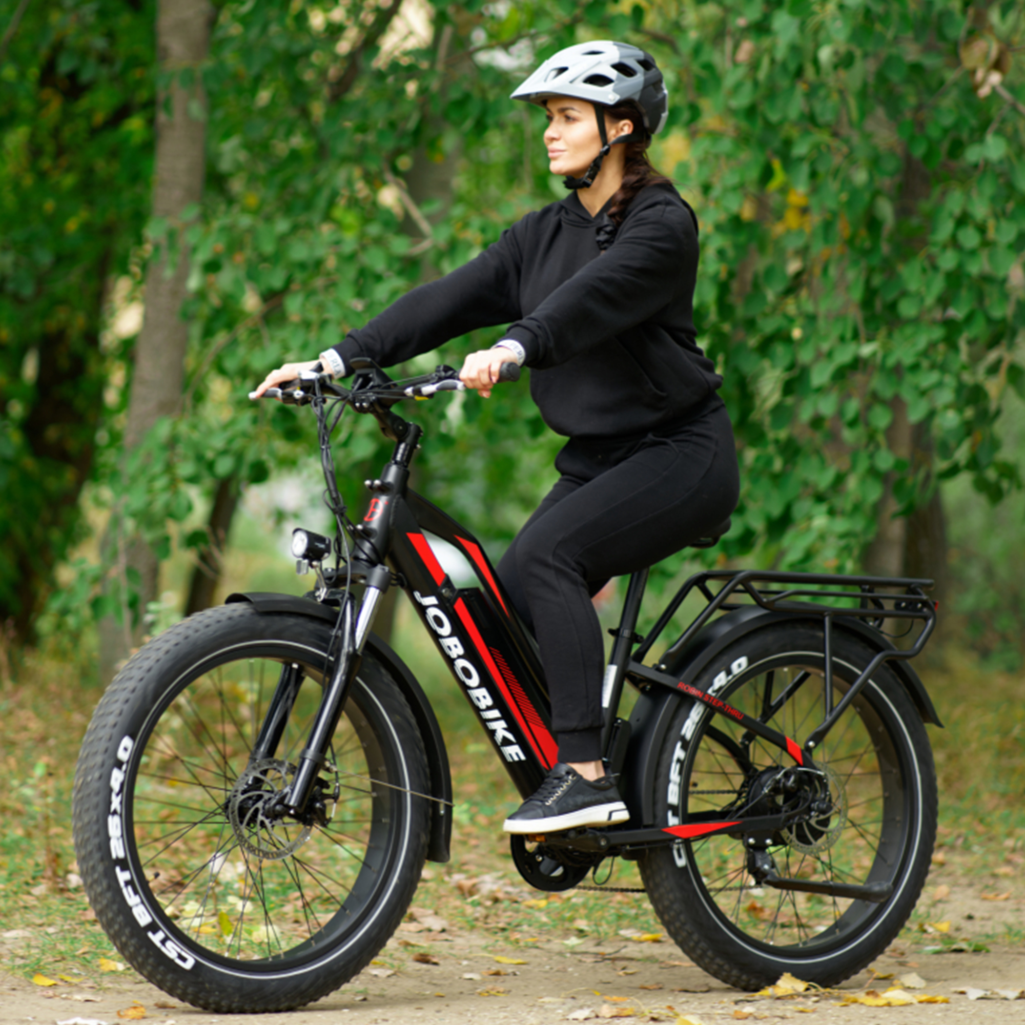 Heckmotor 7 Frau Norma24 Zoll Shimano 250W E-Bike Gang Fat-Reifen Acera Kettenschaltung Robin 26 | Elektrofahrrad JOBOBIKE