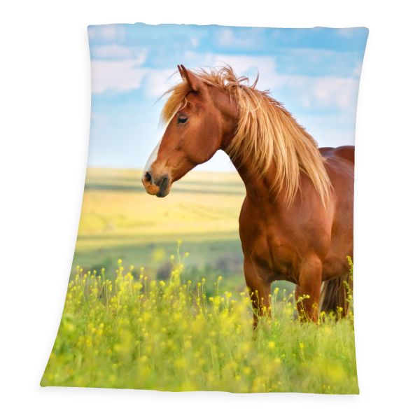 Pferd Fleece-Decke, Größe: 160 x 130 cm