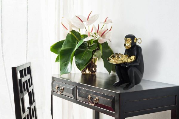 Kayoom Skulptur Sitting Monkey 410 Gold / Schwarz