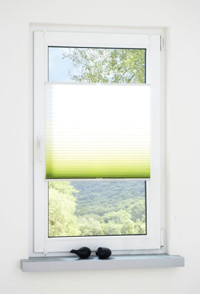 Bella Casa Klemmfix-Plissee verspannt mit Farblauf  80x130cm - grün-weiß