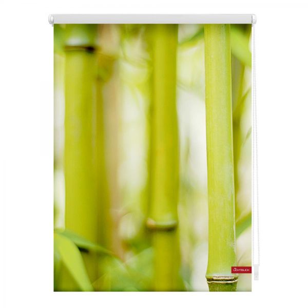 Lichtblick Rollo Klemmfix, ohne Bohren, blickdicht, Bambus - Grün, 100 x 150 cm (B x L)