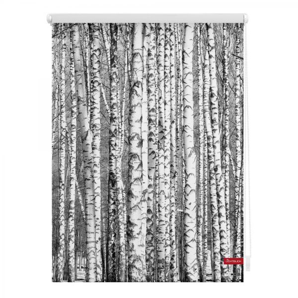 Lichtblick Rollo Klemmfix, ohne Bohren, blickdicht, Birken - Schwarz Weiß, 100 x 150 cm (B x L)